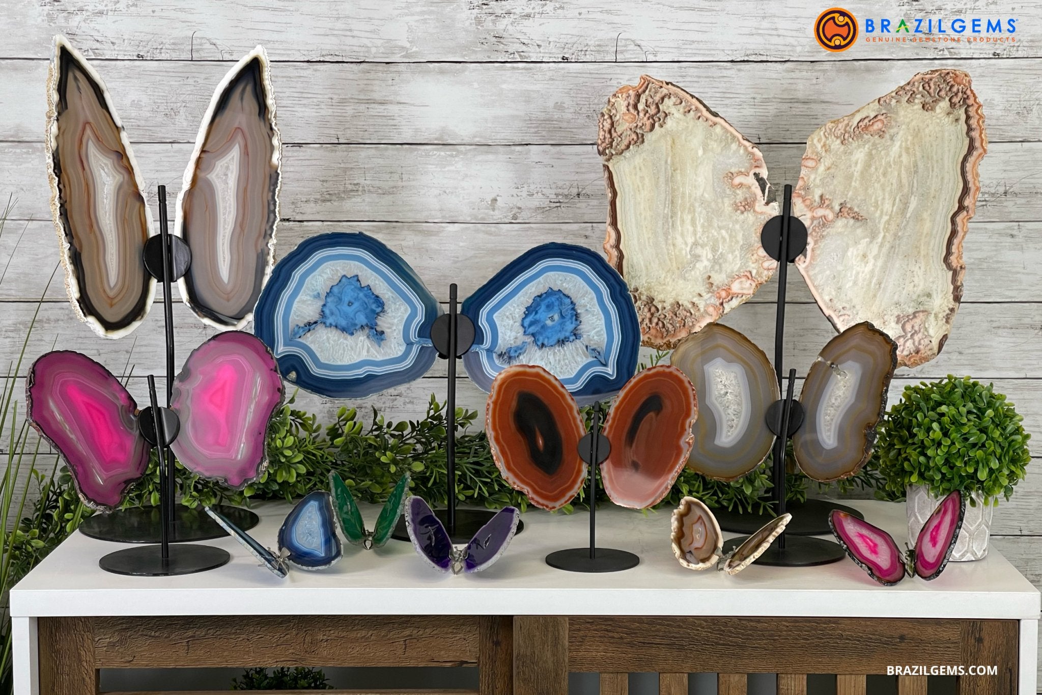 AGATE BUTTERFLY WINGS - Brazil Gems