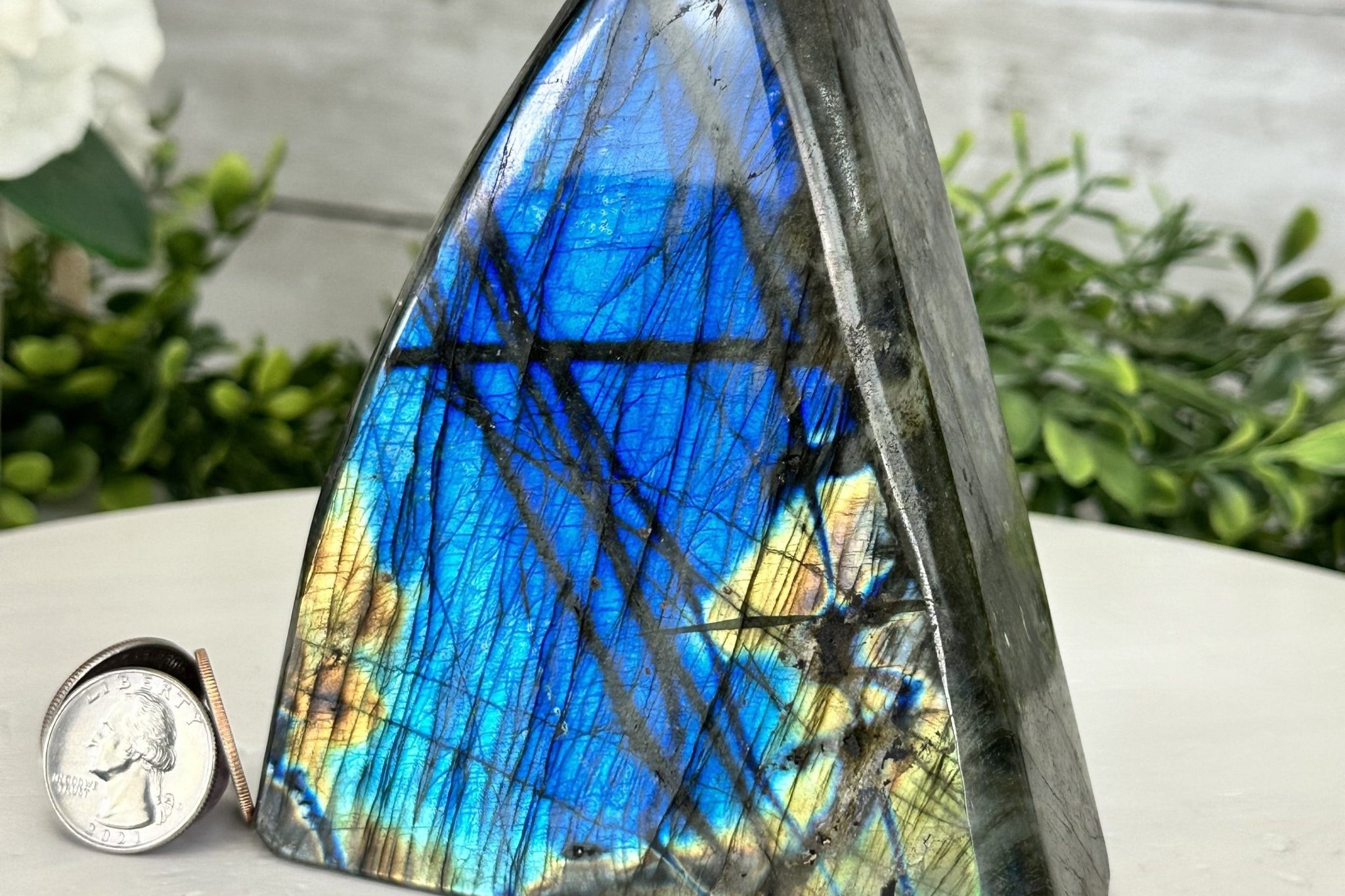 FREEFORM & UNIQUE SHAPES - Brazil Gems