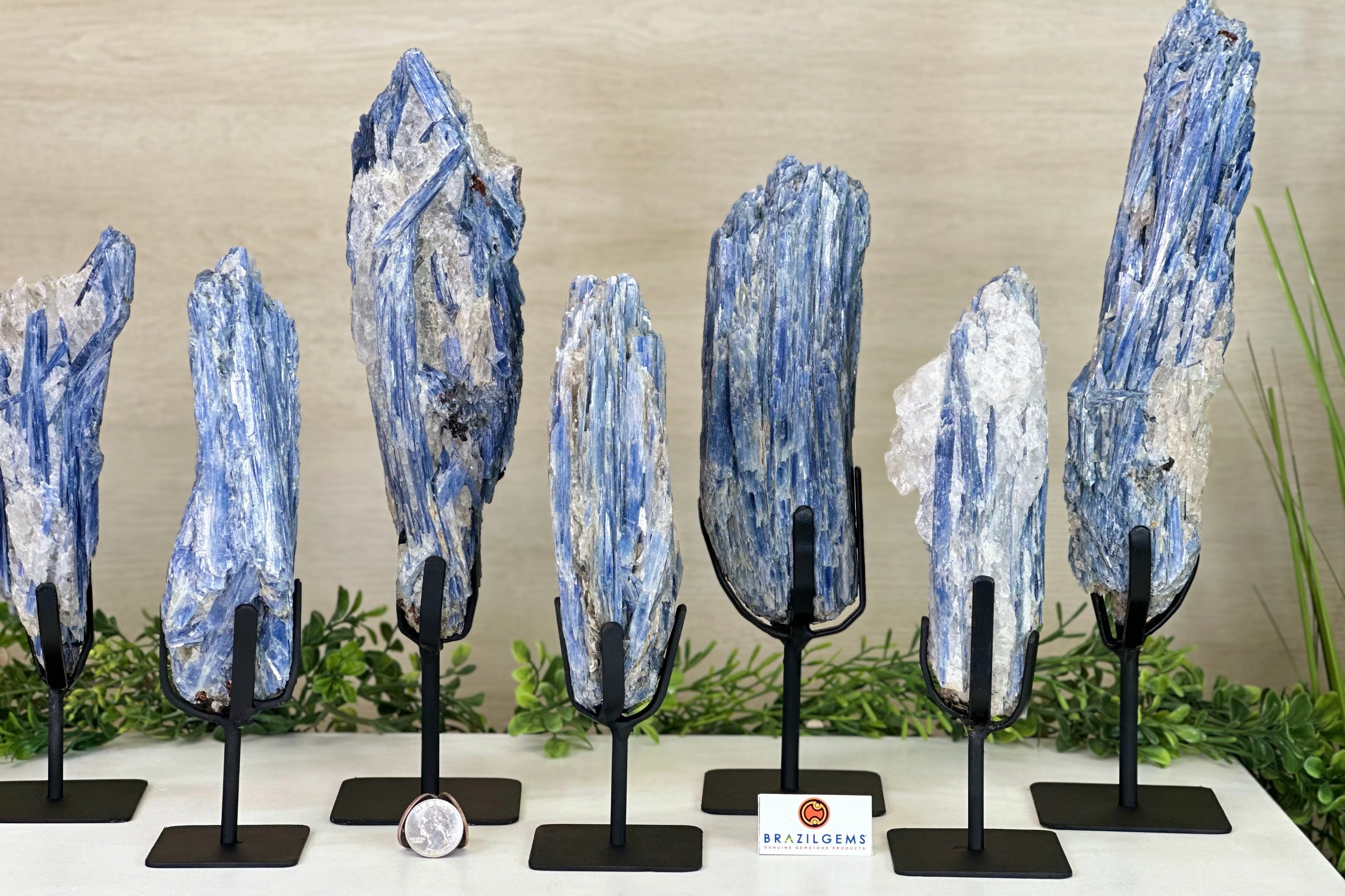 KYANITE CLUSTERS - Brazil Gems