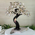 14" Tall Handmade Pink Amethyst Gemstone Tree, Pink Amethyst Base with a Crystal Bird #6404PKPK - 001 - Brazil GemsBrazil Gems14" Tall Handmade Pink Amethyst Gemstone Tree, Pink Amethyst Base with a Crystal Bird #6404PKPK - 001Gemstone Trees6404PKPK - 001