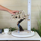 14" Tall Handmade Pink Amethyst Gemstone Tree, Pink Amethyst Base with a Crystal Bird #6404PKPK - 001 - Brazil GemsBrazil Gems14" Tall Handmade Pink Amethyst Gemstone Tree, Pink Amethyst Base with a Crystal Bird #6404PKPK - 001Gemstone Trees6404PKPK - 001