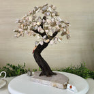 14" Tall Handmade Pink Amethyst Gemstone Tree, Pink Amethyst Base with a Crystal Bird #6404PKPK - 001 - Brazil GemsBrazil Gems14" Tall Handmade Pink Amethyst Gemstone Tree, Pink Amethyst Base with a Crystal Bird #6404PKPK - 001Gemstone Trees6404PKPK - 001