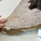 14" Tall Handmade Pink Amethyst Gemstone Tree, Pink Amethyst Base with a Crystal Bird #6404PKPK - 001 - Brazil GemsBrazil Gems14" Tall Handmade Pink Amethyst Gemstone Tree, Pink Amethyst Base with a Crystal Bird #6404PKPK - 001Gemstone Trees6404PKPK - 001