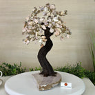 14" Tall Handmade Pink Amethyst Gemstone Tree, Pink Amethyst Base with a Crystal Bird #6404PKPK - 001 - Brazil GemsBrazil Gems14" Tall Handmade Pink Amethyst Gemstone Tree, Pink Amethyst Base with a Crystal Bird #6404PKPK - 001Gemstone Trees6404PKPK - 001