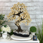 20" Tall Citrine Gemstone Tree on an Amethyst Base, 540 gems #5406CI-019 - Brazil GemsBrazil Gems20" Tall Citrine Gemstone Tree on an Amethyst Base, 540 gems #5406CI-019Gemstone Trees5406CI-019
