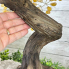 20" Tall Citrine Gemstone Tree on an Amethyst Base, 540 gems #5406CI-019 - Brazil GemsBrazil Gems20" Tall Citrine Gemstone Tree on an Amethyst Base, 540 gems #5406CI-019Gemstone Trees5406CI-019