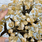 20" Tall Citrine Gemstone Tree on an Amethyst Base, 540 gems #5406CI-019 - Brazil GemsBrazil Gems20" Tall Citrine Gemstone Tree on an Amethyst Base, 540 gems #5406CI-019Gemstone Trees5406CI-019