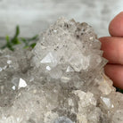 20" Tall Citrine Gemstone Tree on an Amethyst Base, 540 gems #5406CI-019 - Brazil GemsBrazil Gems20" Tall Citrine Gemstone Tree on an Amethyst Base, 540 gems #5406CI-019Gemstone Trees5406CI-019