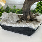 20" Tall Citrine Gemstone Tree on an Amethyst Base, 540 gems #5406CI-019 - Brazil GemsBrazil Gems20" Tall Citrine Gemstone Tree on an Amethyst Base, 540 gems #5406CI-019Gemstone Trees5406CI-019