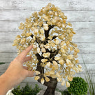 20" Tall Citrine Gemstone Tree on an Amethyst Base, 540 gems #5406CI-019 - Brazil GemsBrazil Gems20" Tall Citrine Gemstone Tree on an Amethyst Base, 540 gems #5406CI-019Gemstone Trees5406CI-019