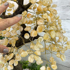 20" Tall Citrine Gemstone Tree on an Amethyst Base, 540 gems #5406CI-019 - Brazil GemsBrazil Gems20" Tall Citrine Gemstone Tree on an Amethyst Base, 540 gems #5406CI-019Gemstone Trees5406CI-019