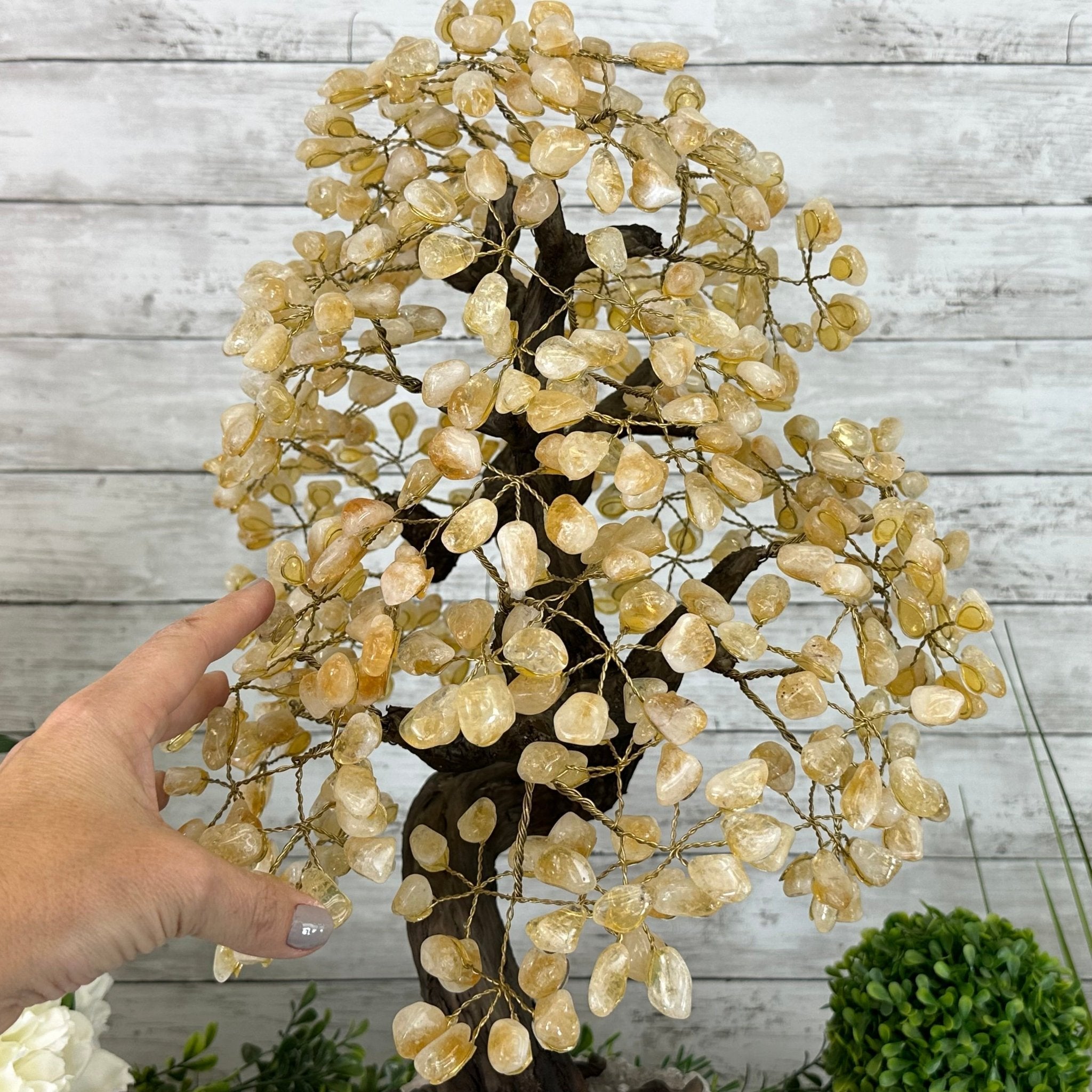 20" Tall Citrine Gemstone Tree on an Amethyst Base, 540 gems #5406CI-019 - Brazil GemsBrazil Gems20" Tall Citrine Gemstone Tree on an Amethyst Base, 540 gems #5406CI-019Gemstone Trees5406CI-019