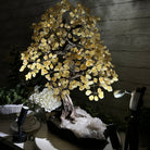 20" Tall Citrine Gemstone Tree on an Amethyst Base, 540 gems #5406CI-019 - Brazil GemsBrazil Gems20" Tall Citrine Gemstone Tree on an Amethyst Base, 540 gems #5406CI-019Gemstone Trees5406CI-019