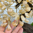 20" Tall Citrine Gemstone Tree on an Amethyst Base, 540 gems #5406CI-019 - Brazil GemsBrazil Gems20" Tall Citrine Gemstone Tree on an Amethyst Base, 540 gems #5406CI-019Gemstone Trees5406CI-019