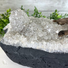 20" Tall Citrine Gemstone Tree on an Amethyst Base, 540 gems #5406CI-019 - Brazil GemsBrazil Gems20" Tall Citrine Gemstone Tree on an Amethyst Base, 540 gems #5406CI-019Gemstone Trees5406CI-019