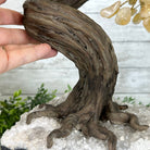 20" Tall Citrine Gemstone Tree on an Amethyst Base, 540 gems #5406CI-019 - Brazil GemsBrazil Gems20" Tall Citrine Gemstone Tree on an Amethyst Base, 540 gems #5406CI-019Gemstone Trees5406CI-019