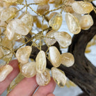 20" Tall Citrine Gemstone Tree on an Amethyst Base, 540 gems #5406CI-019 - Brazil GemsBrazil Gems20" Tall Citrine Gemstone Tree on an Amethyst Base, 540 gems #5406CI-019Gemstone Trees5406CI-019