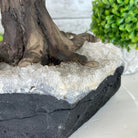 20" Tall Citrine Gemstone Tree on an Amethyst Base, 540 gems #5406CI-019 - Brazil GemsBrazil Gems20" Tall Citrine Gemstone Tree on an Amethyst Base, 540 gems #5406CI-019Gemstone Trees5406CI-019