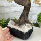 20" Tall Citrine Gemstone Tree on an Amethyst Base, 540 gems #5406CI-019 - Brazil GemsBrazil Gems20" Tall Citrine Gemstone Tree on an Amethyst Base, 540 gems #5406CI-019Gemstone Trees5406CI-019