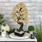 20" Tall Citrine Gemstone Tree on an Amethyst Base, 540 gems #5406CI-019 - Brazil GemsBrazil Gems20" Tall Citrine Gemstone Tree on an Amethyst Base, 540 gems #5406CI-019Gemstone Trees5406CI-019