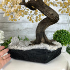 20" Tall Citrine Gemstone Tree on an Amethyst Base, 540 gems #5406CI-019 - Brazil GemsBrazil Gems20" Tall Citrine Gemstone Tree on an Amethyst Base, 540 gems #5406CI-019Gemstone Trees5406CI-019