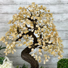 20" Tall Citrine Gemstone Tree on an Amethyst Base, 540 gems #5406CI-019 - Brazil GemsBrazil Gems20" Tall Citrine Gemstone Tree on an Amethyst Base, 540 gems #5406CI-019Gemstone Trees5406CI-019