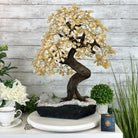 20" Tall Citrine Gemstone Tree on an Amethyst Base, 540 gems #5406CI-019 - Brazil GemsBrazil Gems20" Tall Citrine Gemstone Tree on an Amethyst Base, 540 gems #5406CI-019Gemstone Trees5406CI-019