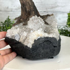 20" Tall Citrine Gemstone Tree on an Amethyst Base, 540 gems #5406CI-019 - Brazil GemsBrazil Gems20" Tall Citrine Gemstone Tree on an Amethyst Base, 540 gems #5406CI-019Gemstone Trees5406CI-019