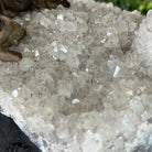 20" Tall Citrine Gemstone Tree on an Amethyst Base, 540 gems #5406CI-019 - Brazil GemsBrazil Gems20" Tall Citrine Gemstone Tree on an Amethyst Base, 540 gems #5406CI-019Gemstone Trees5406CI-019