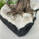 20" Tall Citrine Gemstone Tree on an Amethyst Base, 540 gems #5406CI-019 - Brazil GemsBrazil Gems20" Tall Citrine Gemstone Tree on an Amethyst Base, 540 gems #5406CI-019Gemstone Trees5406CI-019