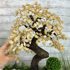 20" Tall Citrine Gemstone Tree on an Amethyst Base, 540 gems #5406CI-019 - Brazil GemsBrazil Gems20" Tall Citrine Gemstone Tree on an Amethyst Base, 540 gems #5406CI-019Gemstone Trees5406CI-019