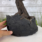 20" Tall Mixed Gems Gemstone Tree on an Amethyst base, 540 gems #5406MG-005 by Brazil Gems - Brazil GemsBrazil Gems20" Tall Mixed Gems Gemstone Tree on an Amethyst base, 540 gems #5406MG-005 by Brazil GemsGemstone Trees5406MG-005