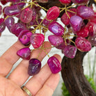 20" Tall Pink Agate Gemstone Tree w/ Amethyst base, 540 gems #5406PA-006 - Brazil GemsBrazil Gems20" Tall Pink Agate Gemstone Tree w/ Amethyst base, 540 gems #5406PA-006Gemstone Trees5406PA-006