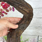 20" Tall Pink Agate Gemstone Tree w/ Amethyst base, 540 gems #5406PA-006 - Brazil GemsBrazil Gems20" Tall Pink Agate Gemstone Tree w/ Amethyst base, 540 gems #5406PA-006Gemstone Trees5406PA-006