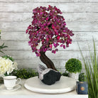 20" Tall Pink Agate Gemstone Tree w/ Amethyst base, 540 gems #5406PA-006 - Brazil GemsBrazil Gems20" Tall Pink Agate Gemstone Tree w/ Amethyst base, 540 gems #5406PA-006Gemstone Trees5406PA-006