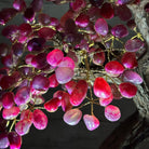 20" Tall Pink Agate Gemstone Tree w/ Amethyst base, 540 gems #5406PA-006 - Brazil GemsBrazil Gems20" Tall Pink Agate Gemstone Tree w/ Amethyst base, 540 gems #5406PA-006Gemstone Trees5406PA-006