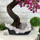 20" Tall Pink Agate Gemstone Tree w/ Amethyst base, 540 gems #5406PA-006 - Brazil GemsBrazil Gems20" Tall Pink Agate Gemstone Tree w/ Amethyst base, 540 gems #5406PA-006Gemstone Trees5406PA-006