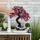 20" Tall Pink Agate Gemstone Tree w/ Amethyst base, 540 gems #5406PA-006 - Brazil GemsBrazil Gems20" Tall Pink Agate Gemstone Tree w/ Amethyst base, 540 gems #5406PA-006Gemstone Trees5406PA-006