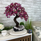 20" Tall Pink Agate Gemstone Tree w/ Amethyst base, 540 gems #5406PA-006 - Brazil GemsBrazil Gems20" Tall Pink Agate Gemstone Tree w/ Amethyst base, 540 gems #5406PA-006Gemstone Trees5406PA-006