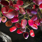 20" Tall Pink Agate Gemstone Tree w/ Amethyst base, 540 gems #5406PA-006 - Brazil GemsBrazil Gems20" Tall Pink Agate Gemstone Tree w/ Amethyst base, 540 gems #5406PA-006Gemstone Trees5406PA-006