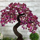 20" Tall Pink Agate Gemstone Tree w/ Amethyst base, 540 gems #5406PA-006 - Brazil GemsBrazil Gems20" Tall Pink Agate Gemstone Tree w/ Amethyst base, 540 gems #5406PA-006Gemstone Trees5406PA-006