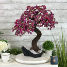 20" Tall Pink Agate Gemstone Tree w/ Amethyst base, 540 gems #5406PA-006 - Brazil GemsBrazil Gems20" Tall Pink Agate Gemstone Tree w/ Amethyst base, 540 gems #5406PA-006Gemstone Trees5406PA-006