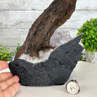 20" Tall Pink Agate Gemstone Tree w/ Amethyst base, 540 gems #5406PA-006 - Brazil GemsBrazil Gems20" Tall Pink Agate Gemstone Tree w/ Amethyst base, 540 gems #5406PA-006Gemstone Trees5406PA-006