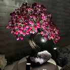 20" Tall Pink Agate Gemstone Tree w/ Amethyst base, 540 gems #5406PA-006 - Brazil GemsBrazil Gems20" Tall Pink Agate Gemstone Tree w/ Amethyst base, 540 gems #5406PA-006Gemstone Trees5406PA-006