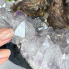 20" Tall Pink Agate Gemstone Tree w/ Amethyst base, 540 gems #5406PA-006 - Brazil GemsBrazil Gems20" Tall Pink Agate Gemstone Tree w/ Amethyst base, 540 gems #5406PA-006Gemstone Trees5406PA-006