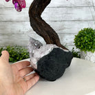 20" Tall Pink Agate Gemstone Tree w/ Amethyst base, 540 gems #5406PA-006 - Brazil GemsBrazil Gems20" Tall Pink Agate Gemstone Tree w/ Amethyst base, 540 gems #5406PA-006Gemstone Trees5406PA-006