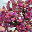 20" Tall Pink Agate Gemstone Tree w/ Amethyst base, 540 gems #5406PA-006 - Brazil GemsBrazil Gems20" Tall Pink Agate Gemstone Tree w/ Amethyst base, 540 gems #5406PA-006Gemstone Trees5406PA-006