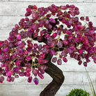 20" Tall Pink Agate Gemstone Tree w/ Amethyst base, 540 gems #5406PA-006 - Brazil GemsBrazil Gems20" Tall Pink Agate Gemstone Tree w/ Amethyst base, 540 gems #5406PA-006Gemstone Trees5406PA-006