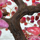 20" Tall Pink Agate Gemstone Tree w/ Amethyst base, 540 gems #5406PA-006 - Brazil GemsBrazil Gems20" Tall Pink Agate Gemstone Tree w/ Amethyst base, 540 gems #5406PA-006Gemstone Trees5406PA-006