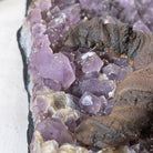 20" Tall Sodalite Gemstone Tree on an Amethyst base, 540 gems #5406SO-005 - Brazil GemsBrazil Gems20" Tall Sodalite Gemstone Tree on an Amethyst base, 540 gems #5406SO-005Gemstone Trees5406SO-005